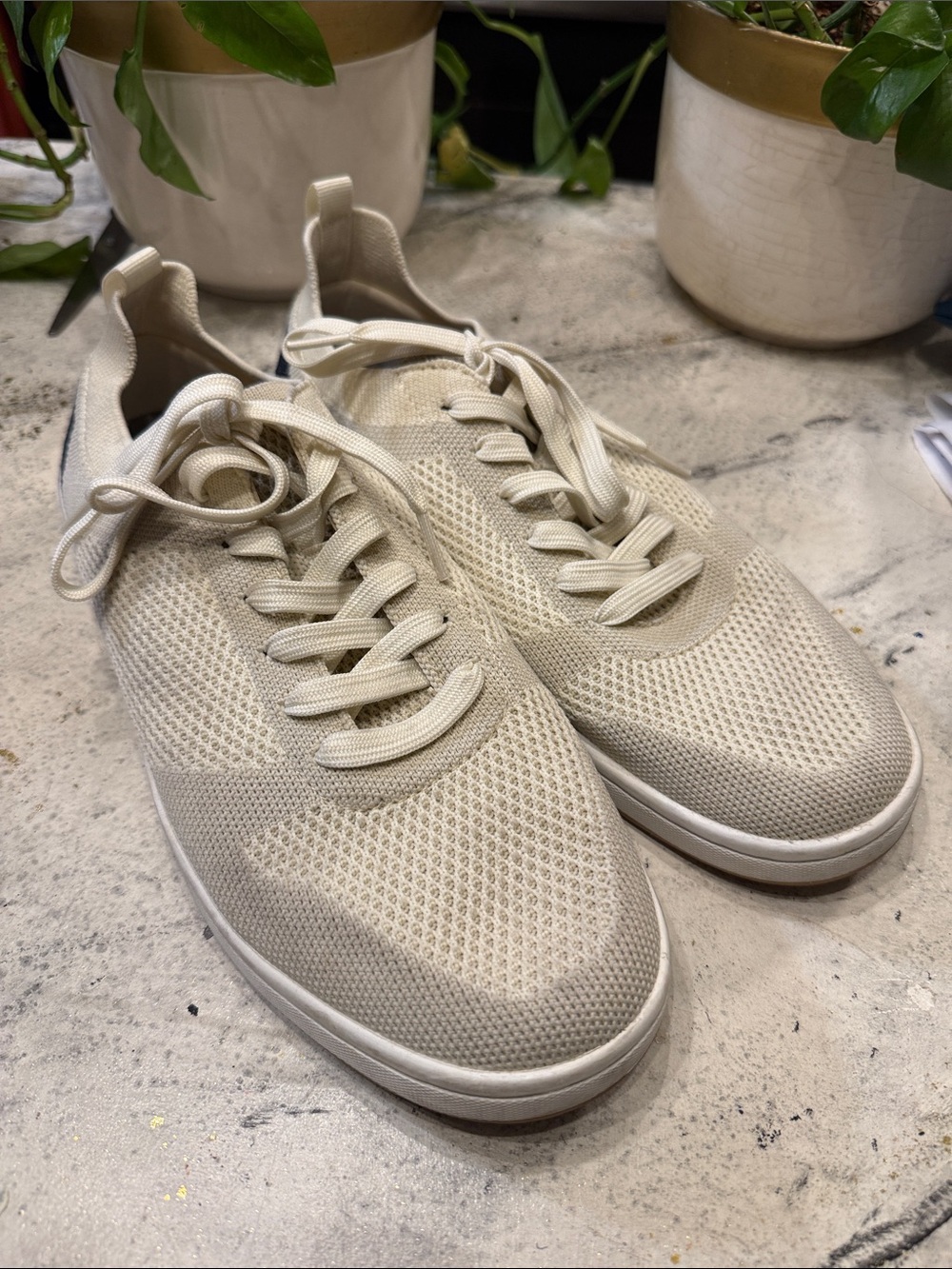 Suavs Knit Lace-Up Sneakers - Cream. M10 W12
